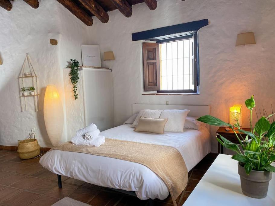 Casabenadalid. Casa Rural Con Piscina. Exterior photo